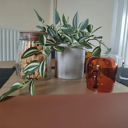 With View Dom wakacyjny